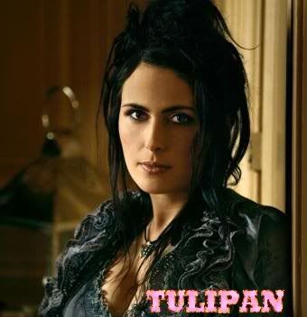 tULIPAN.jpg picture by Linda_Pautierna