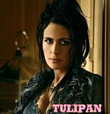 tULIPAN.jpg image by Linda_Pautierna