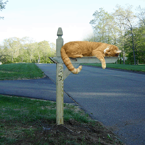 Mailbox bashing solutions - Homesteading Questions