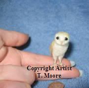 miniature owl