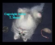 tabby Maine Coon cat,