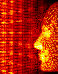 PT02codingcopy.gif coding image by Rodriguez_Prime