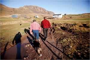 Greeland Farmers