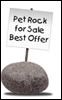 pet rock Pictures, Images and Photos