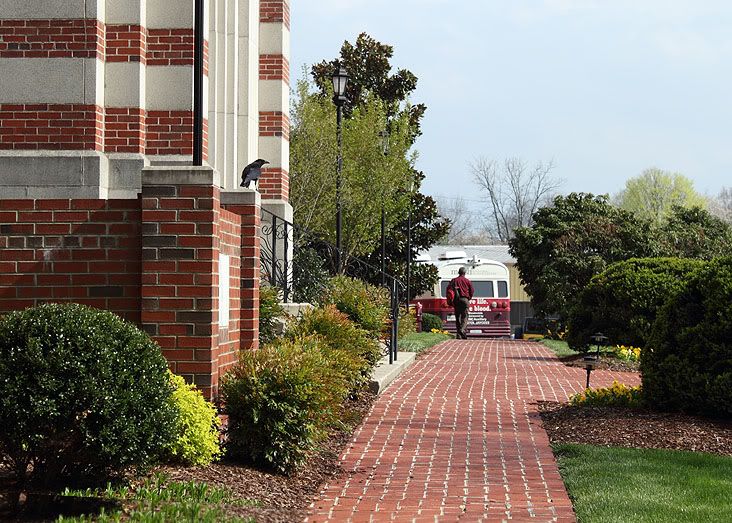 IMAGE: http://i182.photobucket.com/albums/x75/gawain33/crow_sitting.jpg