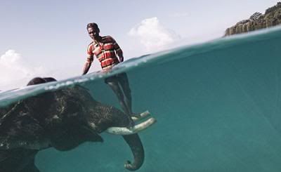 campeonato fotografia nat geo 1 campeonato fotografia nat geo 1