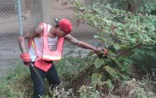 chris brown servico comunitario 1 chris brown servico comunitario 1