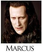 marcus cla volturi lua nova marcus cla volturi lua nova