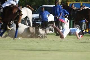 principe harry cai do cavalo principe harry cai do cavalo 1