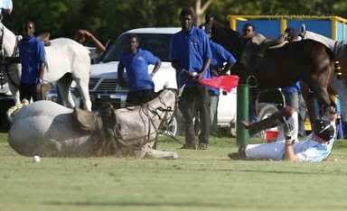 principe harry cai do cavalo 2 principe harry cai do cavalo 2