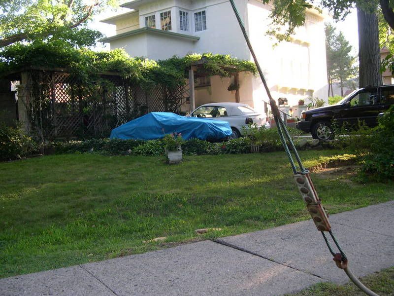 tarp.jpg