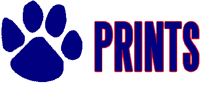 Paw Prints: UCONN Huskies