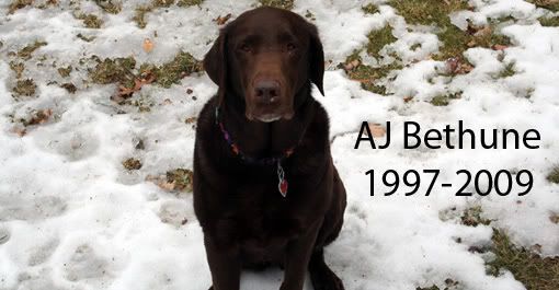 RIP AJ Bethune, 1997-2009