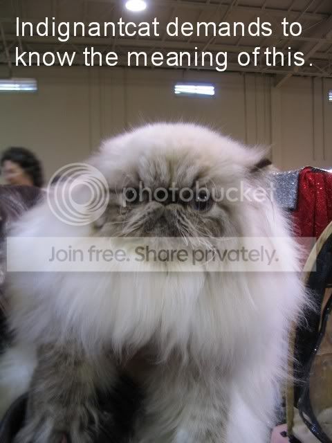 Fluffymeaning