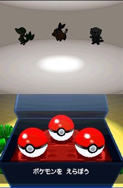 Pokemon Black/White Screenies [SPOILERS]