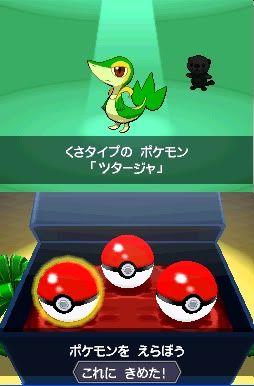 Pokemon Black/White Screenies [SPOILERS]