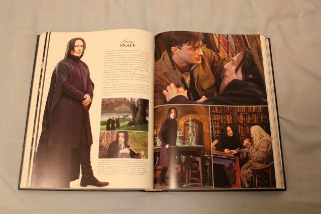 Snape in the Book Harry Potter Page to Screen: severmore