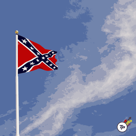 [image: confederateflag3.gif]