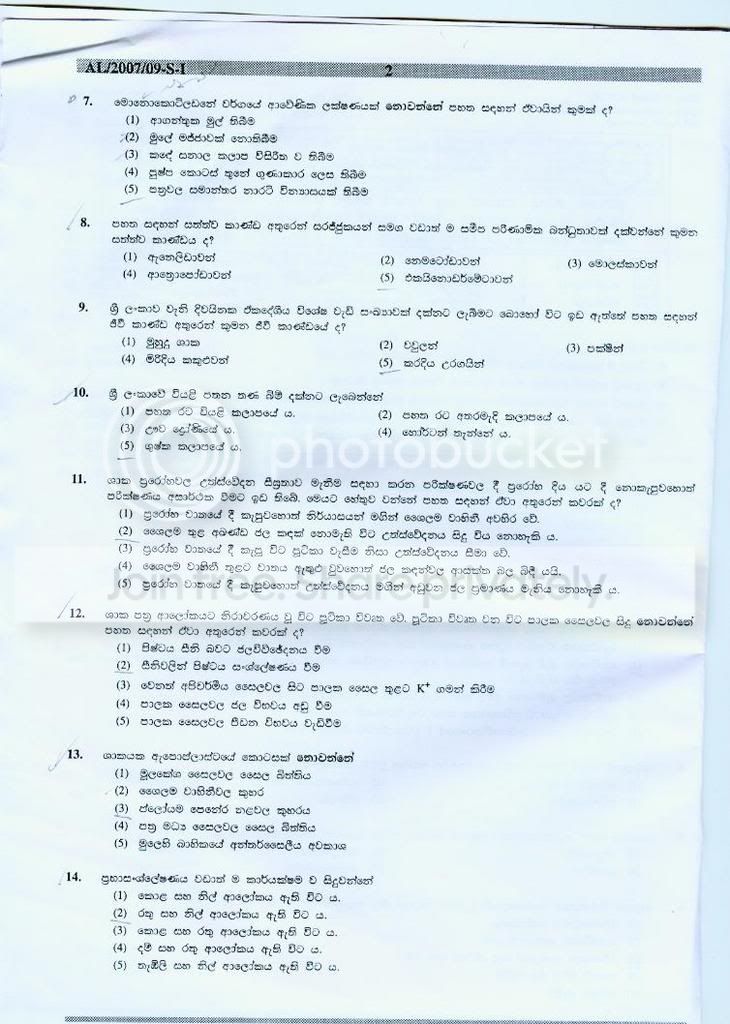 page2.jpg