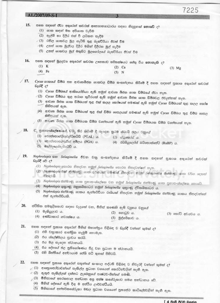 page3.jpg