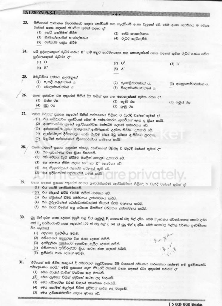 page4.jpg