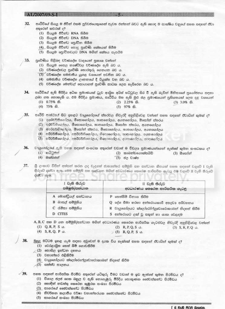 page5.jpg