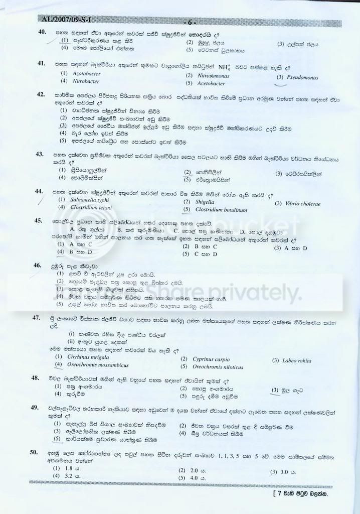 page6.jpg