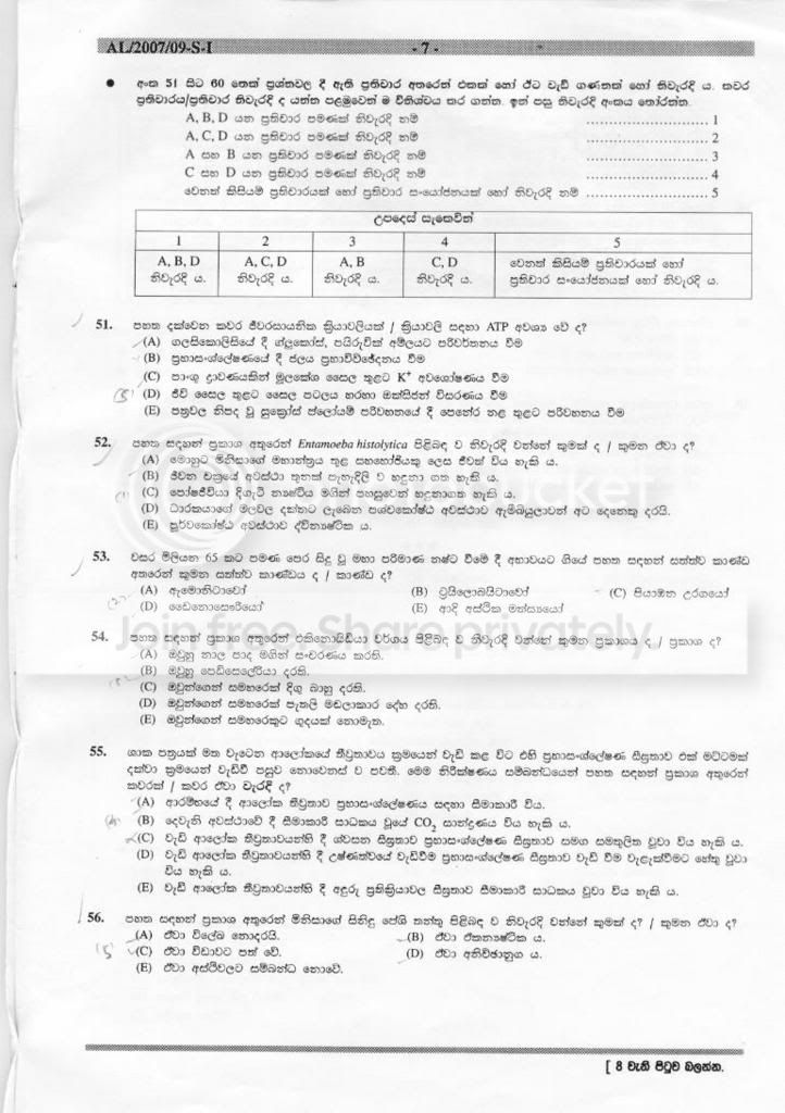 page7.jpg