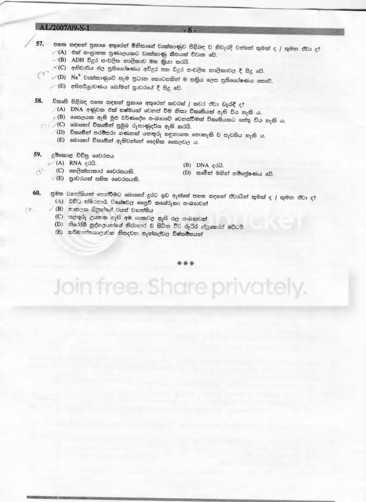 page8.jpg