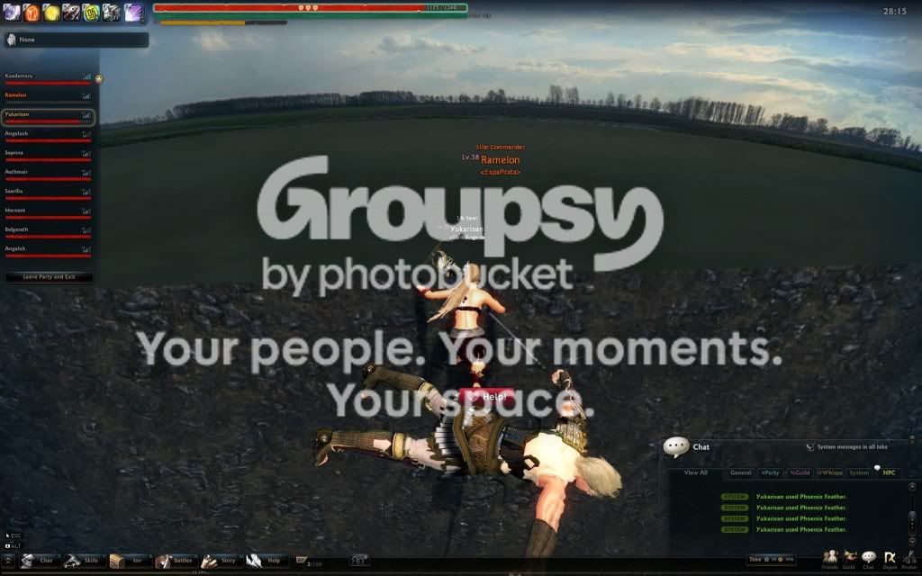 User Image