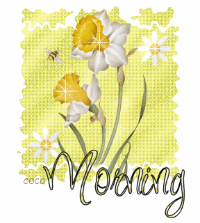 DAFFODIL2525252DMorning535.gif picture by ayesha_4_2007
